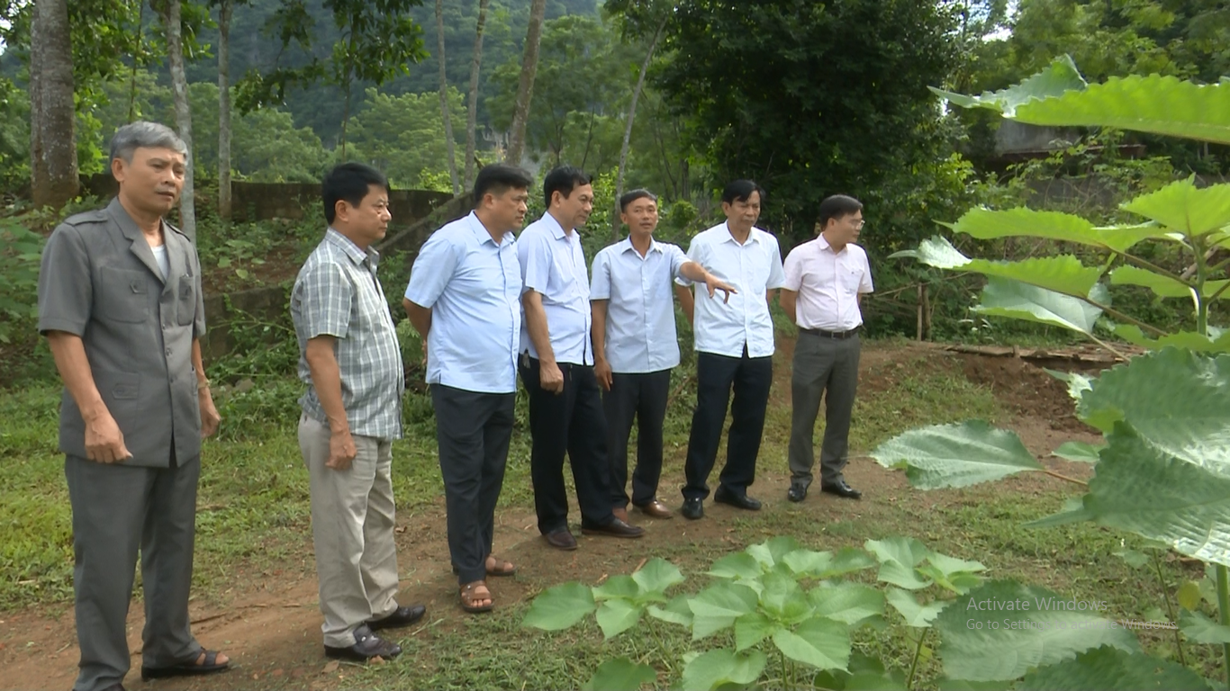 Các đồng chí lãnh đạo huyện kiểm tra thực tế mô hình trồng gai xanh tại xã Tân Lập