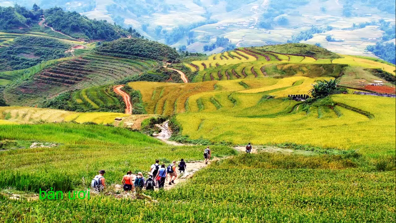 Những thửa ruộng bậc thang tạo nên vẻ đẹp độc đáo ở Pù Luông